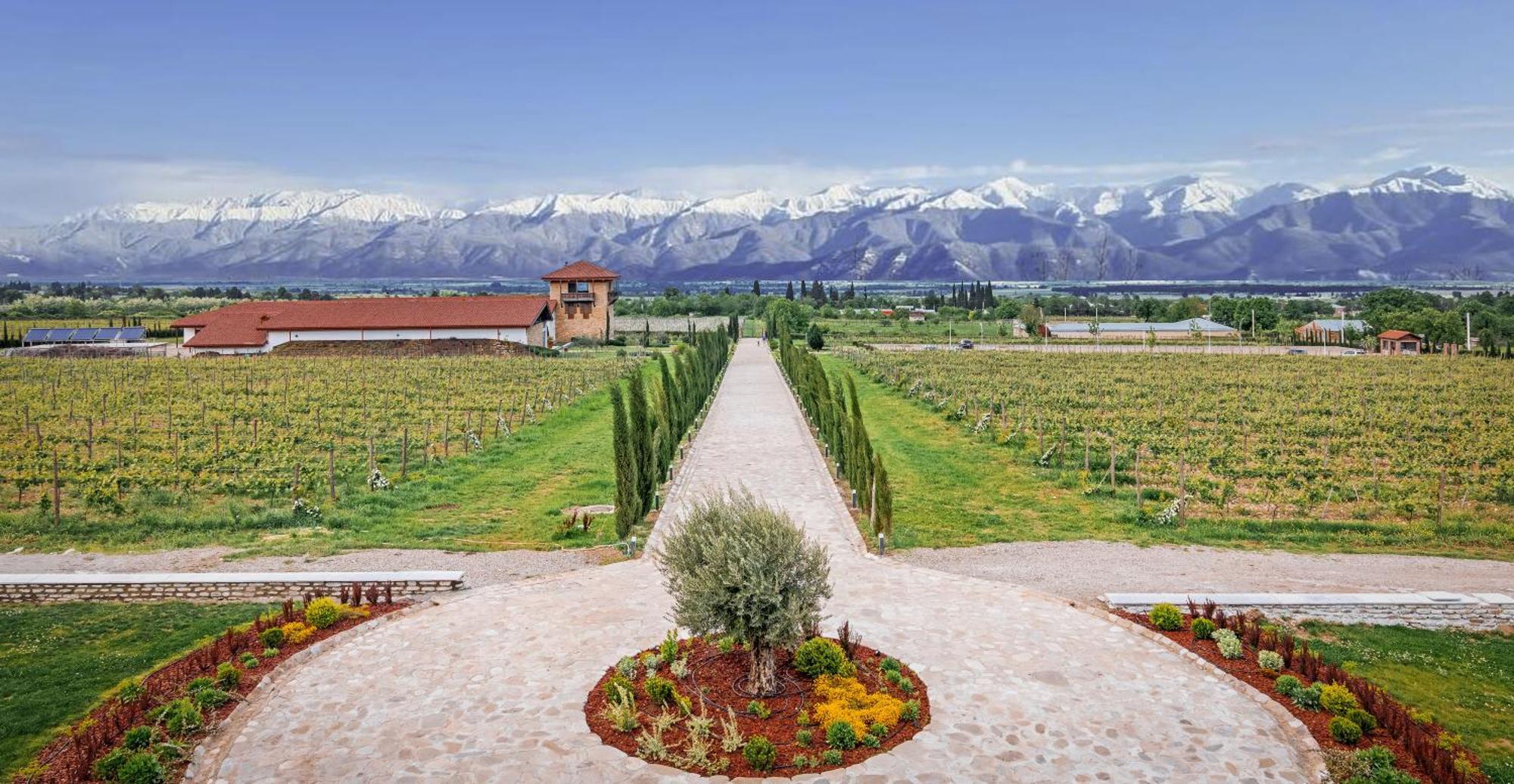 Chateau Mosmieri Hotel & Winery Telavi Exteriör bild